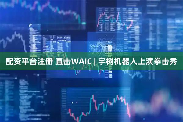 配资平台注册 直击WAIC | 宇树机器人上演拳击秀