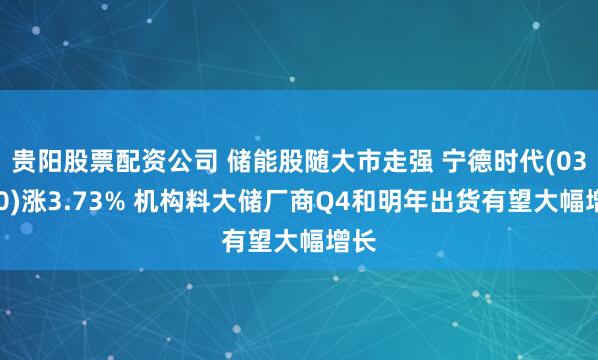 贵阳股票配资公司 储能股随大市走强 宁德时代(03750)涨3.73% 机构料大储厂商Q4和明年出货有望大幅增长